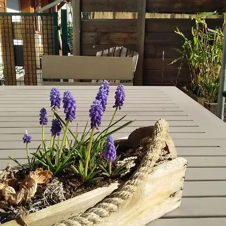 Le Cocon De L'epiclea, Chorges, Entre Et Montagnes Homestay Chorges